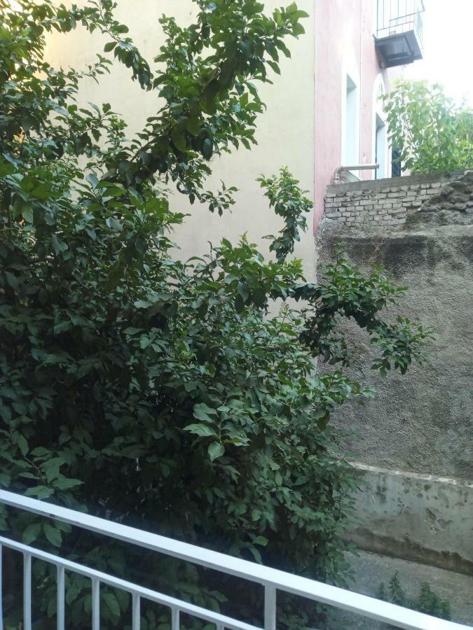 New Apartment With A Separate Entrance Near The Subway. Athens Ngoại thất bức ảnh